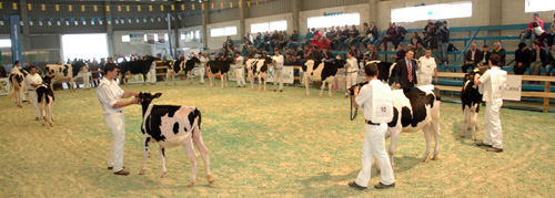VISTA CONCURSO XATAS
