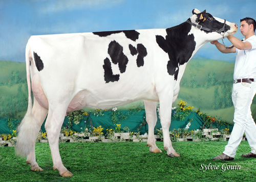 REGO AIRRAID CLAUDINA 2485