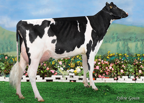 SANDAMIL MS MEGAMAGIC MELANI
