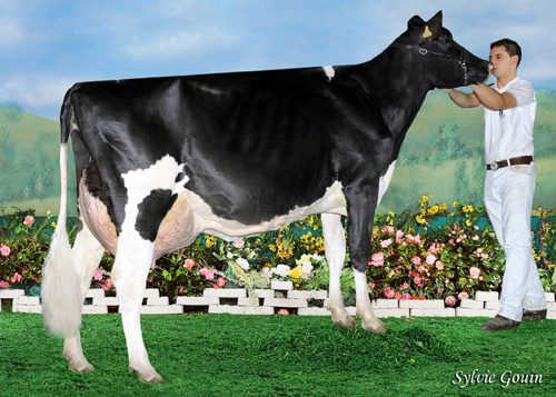 REY 454 ROSITA GOLDWYN