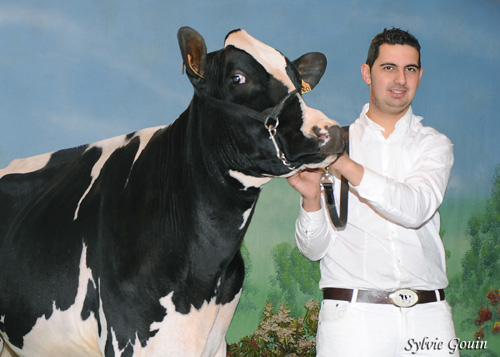 JOSE ALBERTO IGLESIA