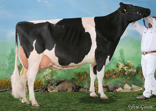 CESARES BOEZA DANCER