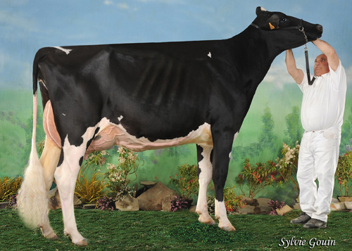 POZOSAA GOLDWYN 9545 SONIA