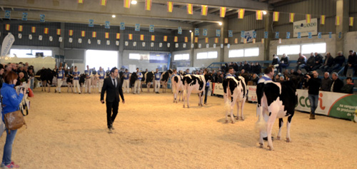 CONCURSO MOEXMU 2016