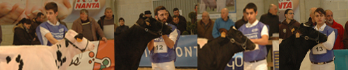 CONCURSO MANEXADORES