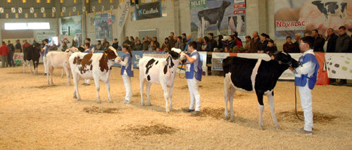 CONCURSO MANEXADORES