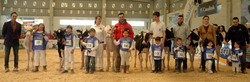 CONCURSO MANEXADORES