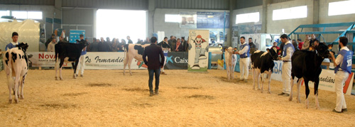 CONCURSO MANEXADORES