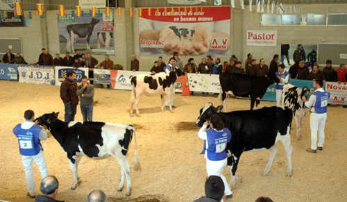 CONCURSO MANEXADORES