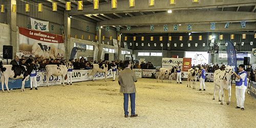 CONCURSO MANEXADORES MOEXMU