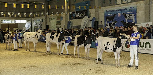 CONCURSO MANEXADORES