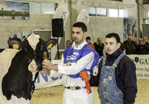 Alberto Iglesia