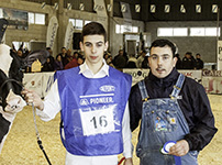 AVELINO SOUTO