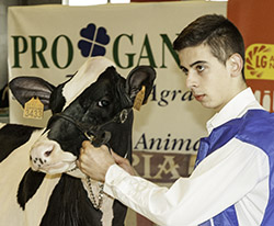 Avelino Souto