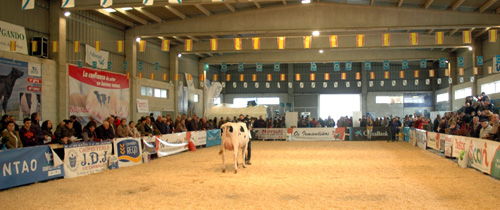 POXA MOEXMU