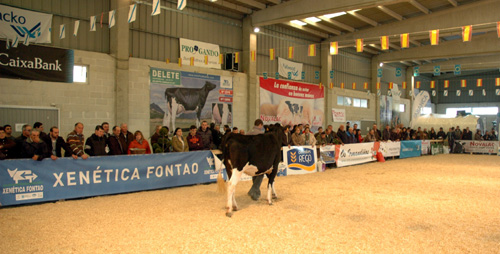 POXA AFRICOR LUGO