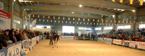 POXA LUGO