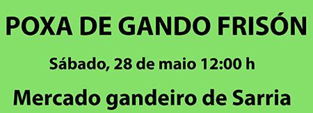 POXA SARRIA