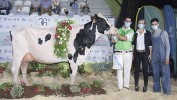 CONCURSO REXIONAL GALCIA 2021