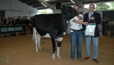 POZO SAA GOLDWYN SARA