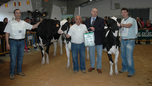 MELLOR CRIADOR