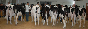 concurso de sarria