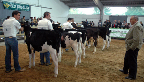 CONCURSO DE CRIADORES SARRIA