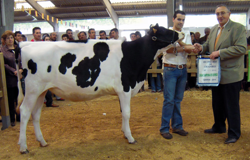 CALLOBRO XACOBEO VALDETEJA