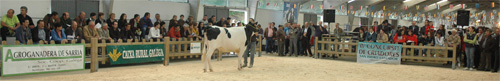 CONCURSO DE CRIADORES SARRIA 2011