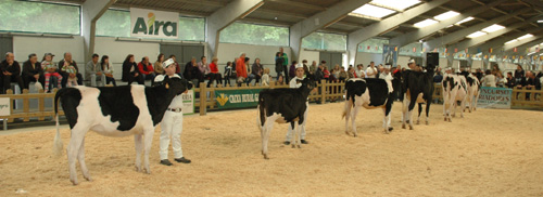 CAMPIONATO MANEXADORES SARRIA 2011