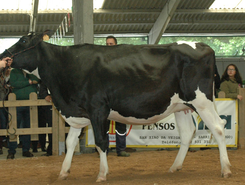 VILA SEAVER LOTTE 475
