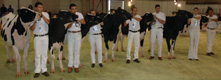 ACTIVIDADES DO DOMINGO EN SEMANA VERDE