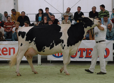 pozo lee 4760