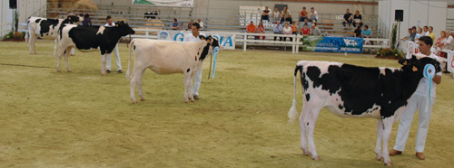 xatas premiadas