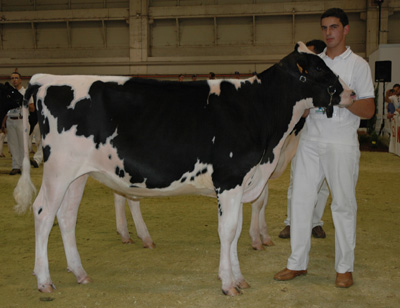 POZO ROY LANA