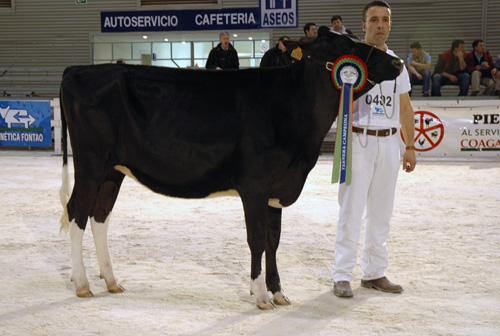 POZOSAA JASPER 9888 ERMA