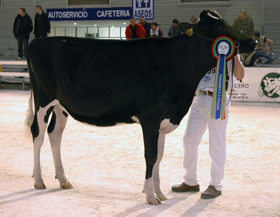 LLERA GOLDWYN ALANIS