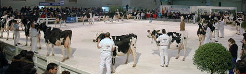 CONCURSO REXIONAL DE GALICIA