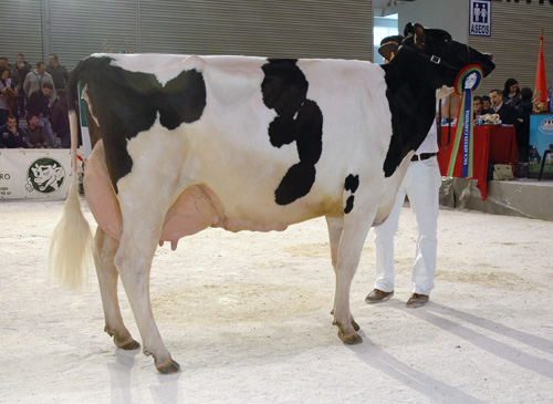 PEB VENEL 8402