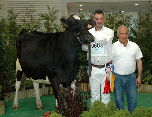 POZOSAA XACOBEO 6945 LUSI