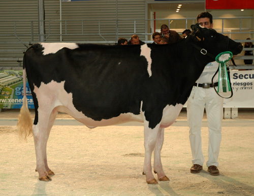 BLANCO MEGALUNA ET