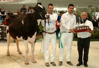 GRAN CAMPIONA SILLEDA 2014