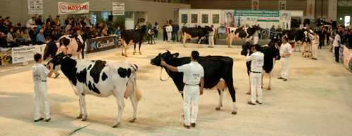 GANDAGRO 2014