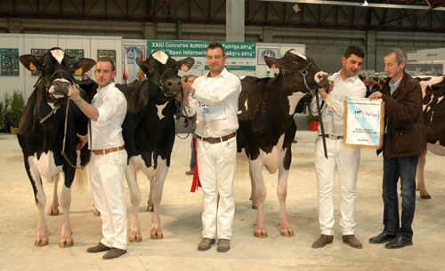 REI DE MIÑOTELO MELLOR CRIADOR DE GALICIA