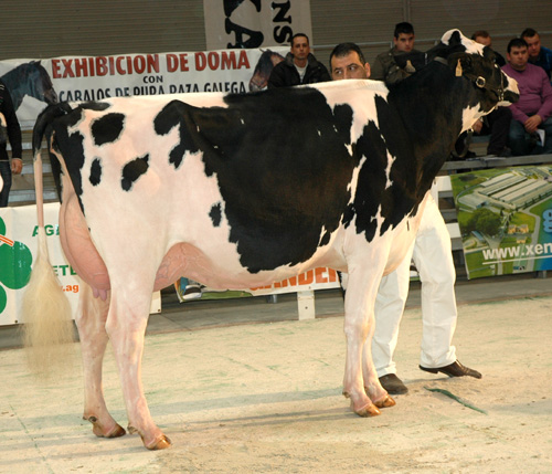CID AFTERSHOCK MATICA