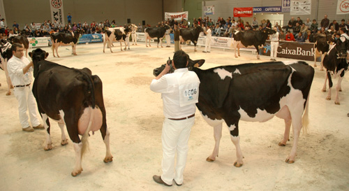 OPEN GANDAGRO