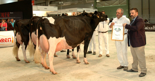 GANDERIA BADIOLA