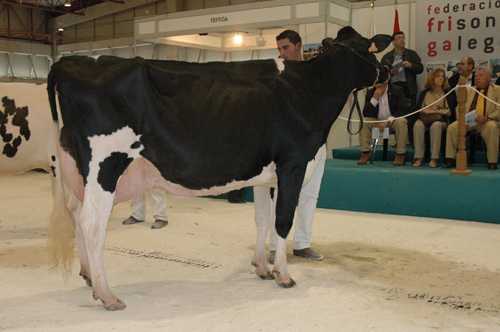 REY 454 ROSITA GOLDWYN