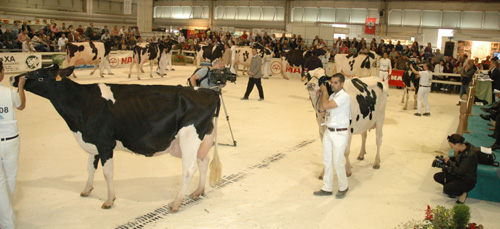 CONCURSO REXIONAL GALICIA 2011
