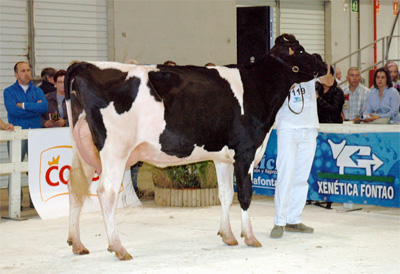 BERDON GOLDWYN TELLA